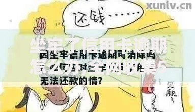 坐牢了信用卡逾期怎么办,全网收集5个和信用飞一样好下款的口子