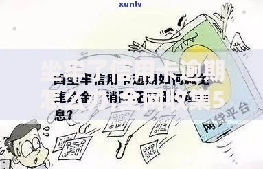 坐牢了信用卡逾期怎么办,全网收集5个和信用飞一样好下款的口子