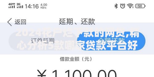 2024花户烂下款的网贷,精心分析5款哪家贷款平台好 2024花户烂下款的网贷,精心分析5款哪家贷款平台好