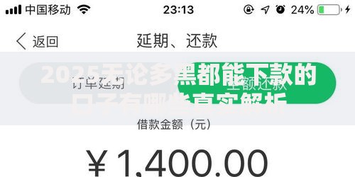 2025无论多黑都能下款的口子有哪些真实解析 2025无论多黑都能下款的口子有哪些真实解析