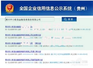 网贷交流论坛：如何安全高效选择贷款平台