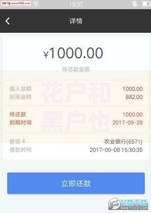 花户和黑户也能放款的平台2025年有哪些？最新推荐及申请条件解析