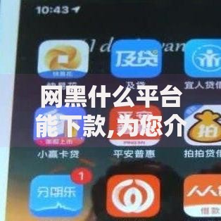 网黑什么平台能下款,为您介绍5款快速借钱平台