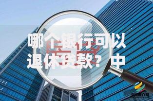 哪个银行可以退休贷款？中老年人专属信贷方案大揭秘