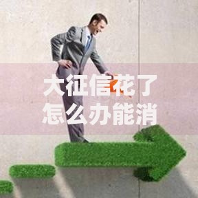 大征信花了怎么办能消吗？征信修复全流程解析与实操指南