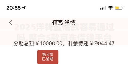 2025洋钱罐借款容易通过吗,整合5款京东借钱平台