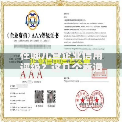 在哪儿查企业信用评级？这几个靠谱渠道你要知道