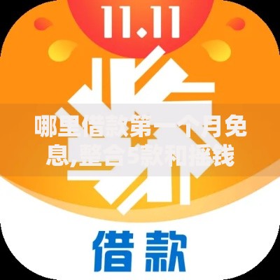 哪里借款第一个月免息,整合5款和摇钱花一样的平台