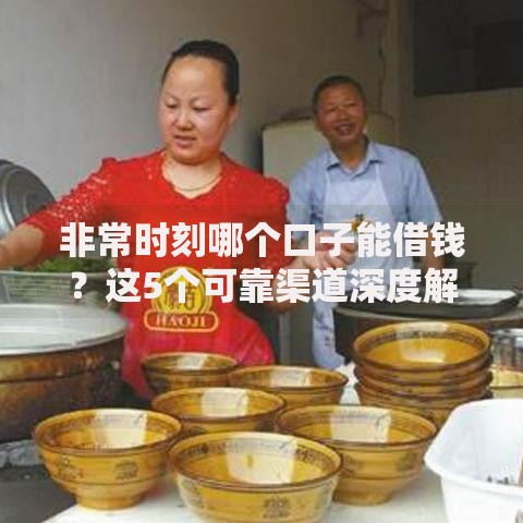 非常时刻哪个口子能借钱？这5个可靠渠道深度解析