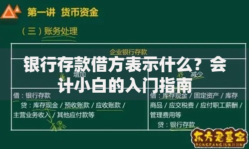 银行存款借方表示什么？会计小白的入门指南