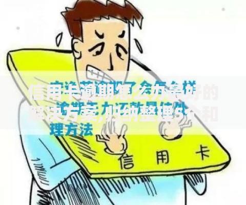 信用卡逾期怎么办最好的解决方案,归纳整理5个和安逸花一样的平台还