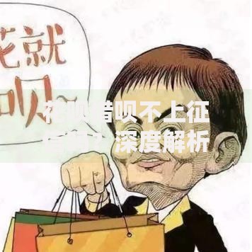 花呗借呗不上征信吗？深度解析征信影响与使用建议