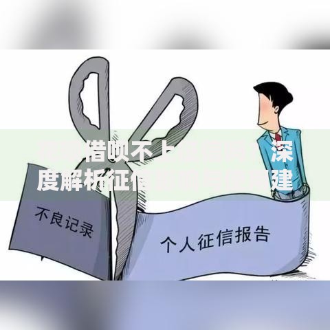 花呗借呗不上征信吗？深度解析征信影响与使用建议