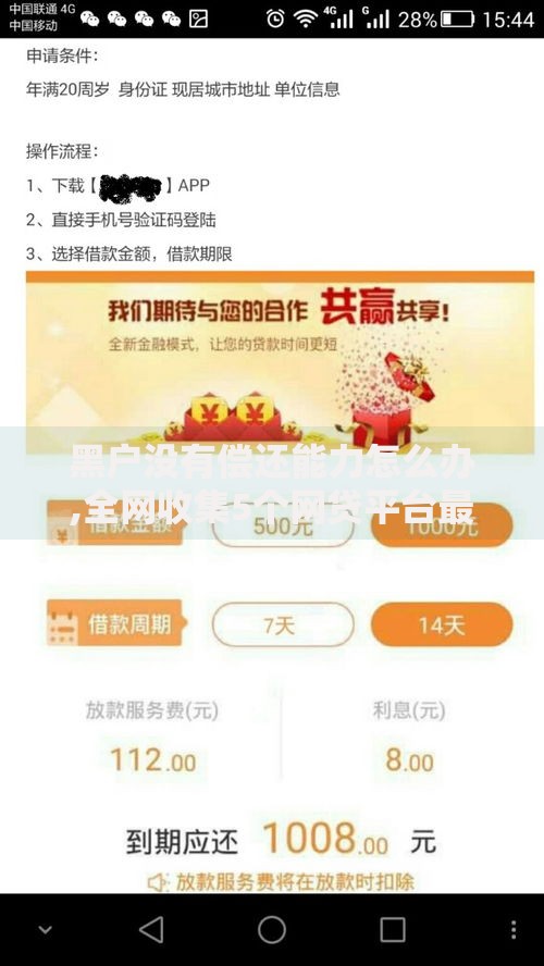 黑户没有偿还能力怎么办,全网收集5个网贷平台最好下款