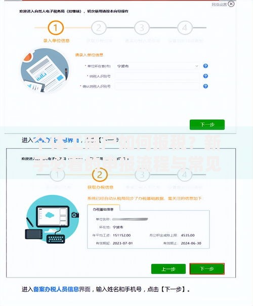 个体工商户如何报税？新手必看的申报流程与常见问题解答