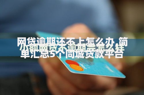 网贷逾期还不上怎么办,简单汇总5个同城贷款平台