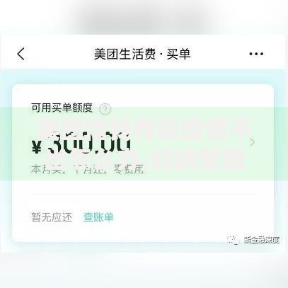 美团借钱有额度借不出怎么办,归纳整理5个手机号贷款平台 美团借钱有额度借不出怎么办,归纳整理5个手机号贷款平台