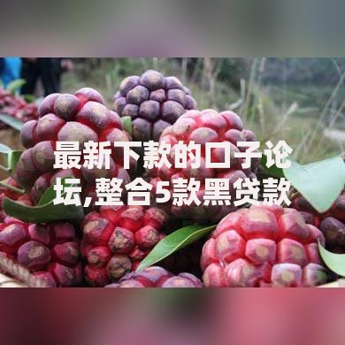 最新下款的口子论坛,整合5款黑贷款马上下款的口子2025