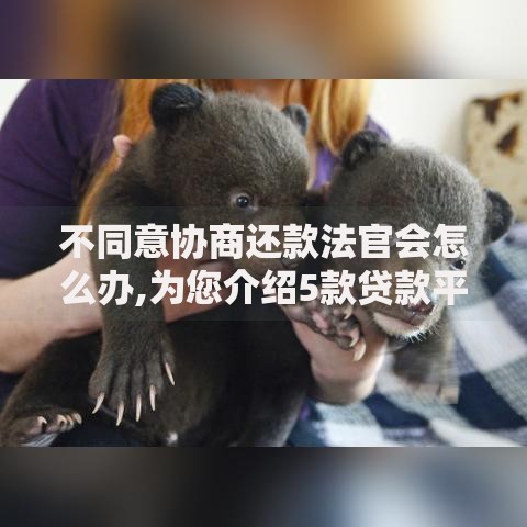 不同意协商还款法官会怎么办,为您介绍5款贷款平台利息低又正规