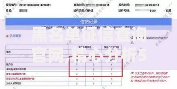 黑名单征信查询官网,精心分析5款十大容易过的网贷平台