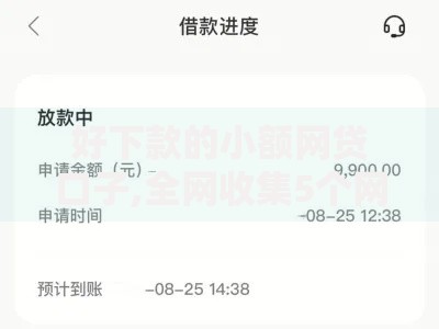 好下款的小额网贷口子,全网收集5个网贷黑名单能在平台借钱 好下款的小额网贷口子,全网收集5个网贷黑名单能在平台借钱