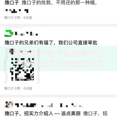 最新黑户能下款的黑户口子哪些渠道审核通过率高