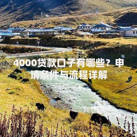 4000贷款口子有哪些？申请条件与流程详解