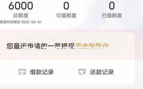 呆账还能借款的口子有哪些？正规渠道深度解析