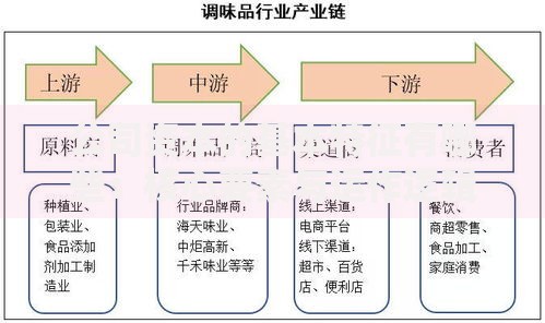 公司资本的基本特征有哪些:核心要素与运作逻辑解析 公司资本的基本特征有哪些:核心要素与运作逻辑解析