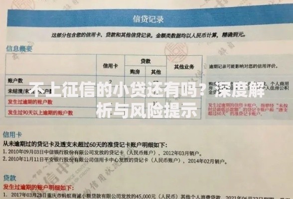 不上征信的小贷还有吗？深度解析与风险提示