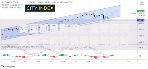 美国加息影响：全球经济波动下的投资策略与应对之道