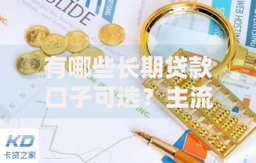有哪些长期贷款口子可选？主流渠道深度解析