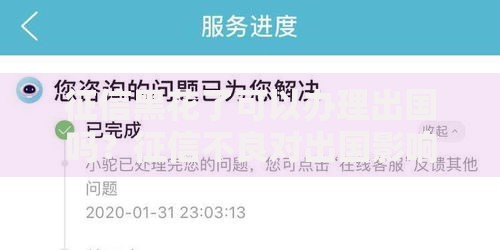 征信黑花了可以办理出国吗？征信不良对出国影响解析