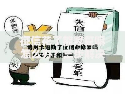 征信花了能修复嘛怎么办？三步解决信用问题