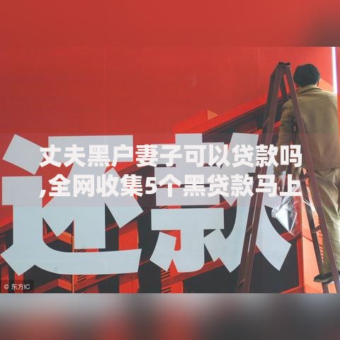 丈夫黑户妻子可以贷款吗,全网收集5个黑贷款马上下款的口子2025