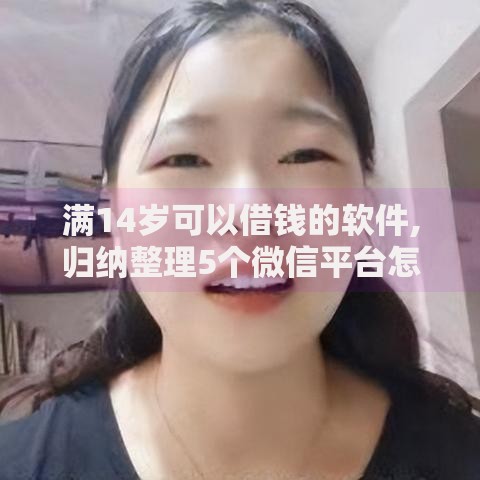 满14岁可以借钱的软件,归纳整理5个微信平台怎么借钱