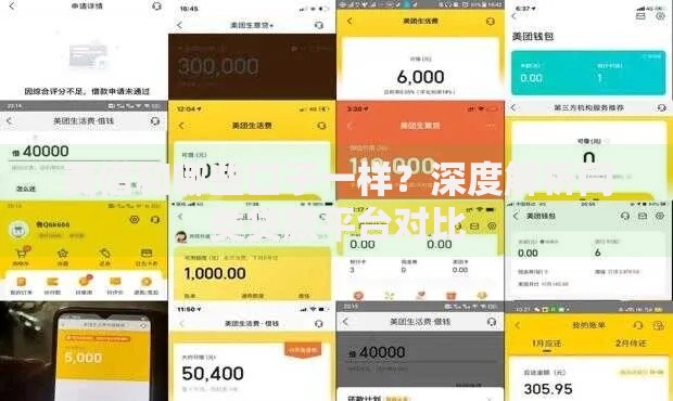 美借和哪些口子一样？深度解析同类贷款平台对比