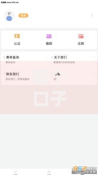 哪个口子贷款百分百下？正规平台审核标准深度解析