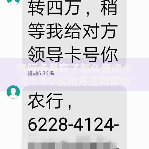 农行卡号忘了怎么查询卡号？5个实用方法帮你快速找回