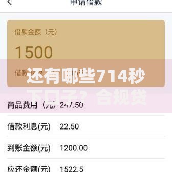 还有哪些714秒下口子？合规贷款渠道与风险防范指南