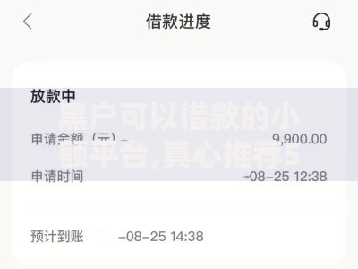黑户可以借款的小额平台,真心推荐5个网贷最容易下款的平台