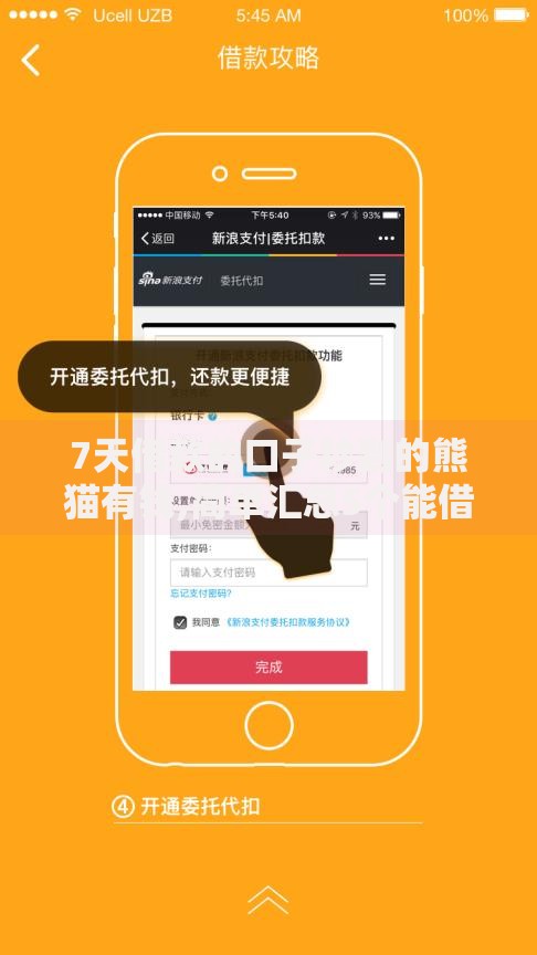 7天借款的口子秒到的熊猫有钱,简单汇总5个能借钱的平台