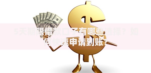 5天期限借款口子有哪些选择？如何快速申请到账？