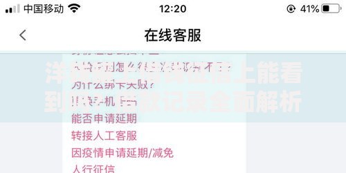 洋钱罐上借钱征信上能看到吗？借款记录全面解析