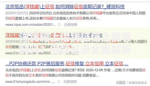 洋钱罐上借钱征信上能看到吗？借款记录全面解析