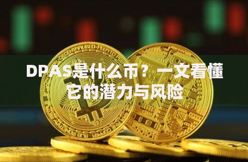 DPAS是什么币?一文看懂它的潜力与风险 DPAS是什么币?一文看懂它的潜力与风险