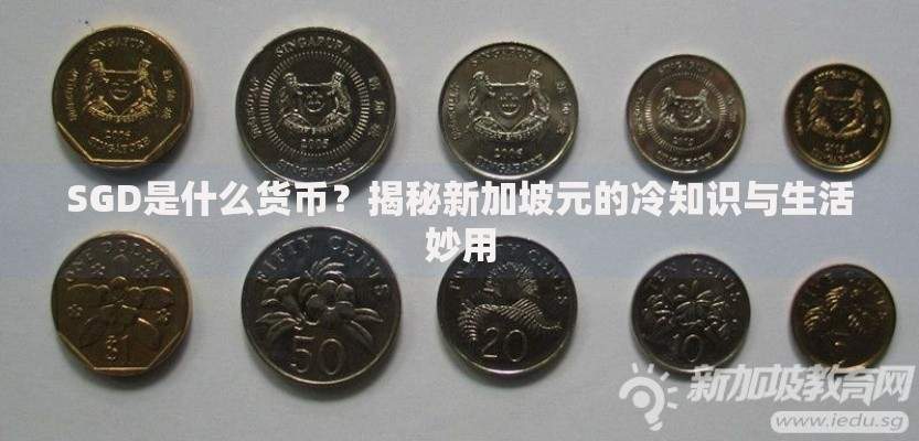 SGD是什么货币?揭秘新加坡元的冷知识与生活妙用 SGD是什么货币?揭秘新加坡元的冷知识与生活妙用