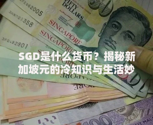 SGD是什么货币?揭秘新加坡元的冷知识与生活妙用 SGD是什么货币?揭秘新加坡元的冷知识与生活妙用