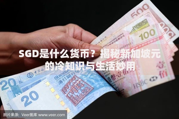 SGD是什么货币?揭秘新加坡元的冷知识与生活妙用 SGD是什么货币?揭秘新加坡元的冷知识与生活妙用