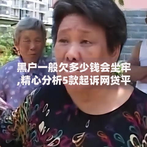 黑户一般欠多少钱会坐牢,精心分析5款起诉网贷平台